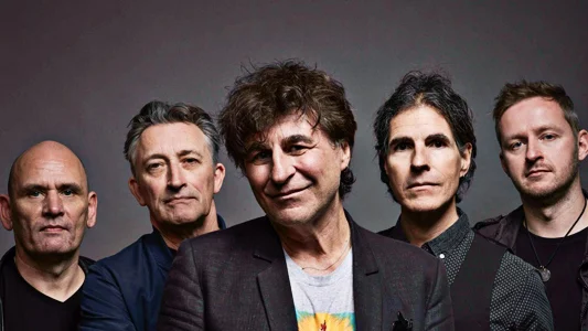 The Chameleons